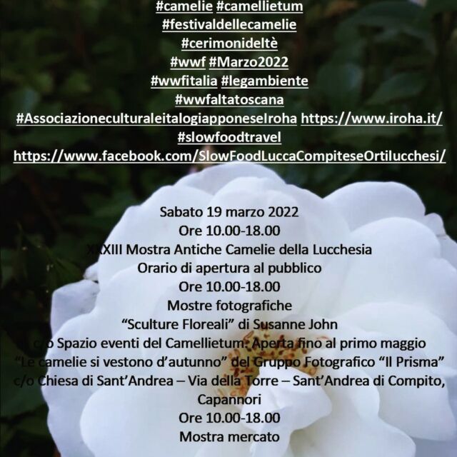 XXXIII MOSTRA ANTICHE CAMELIE DELLA LUCCHESIA https://camelielucchesia.it/
#camelie #camellietum
#festivaldellecamelie
#cerimonideltè
#wwf #Marzo2022
#wwfitalia #legambiente
#wwfaltatoscana 
#AssociazioneculturaleitalogiapponeseIroha https://www.iroha.it/
#slowfoodtravel https://www.facebook.com/SlowFoodLuccaCompiteseOrtilucchesi/
19 e 20 marzo 2022
 26 e 27 marzo 2022
